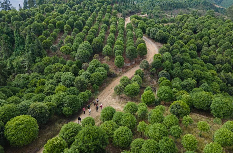 Первый в истории Китая экологический кодекс